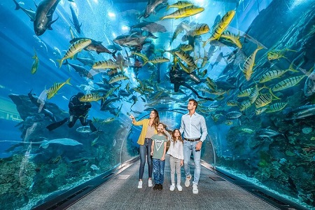 Dubai Tour