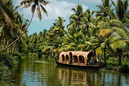 India Tour