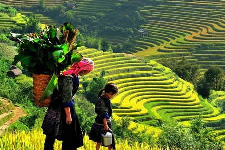 Vietnam Tour